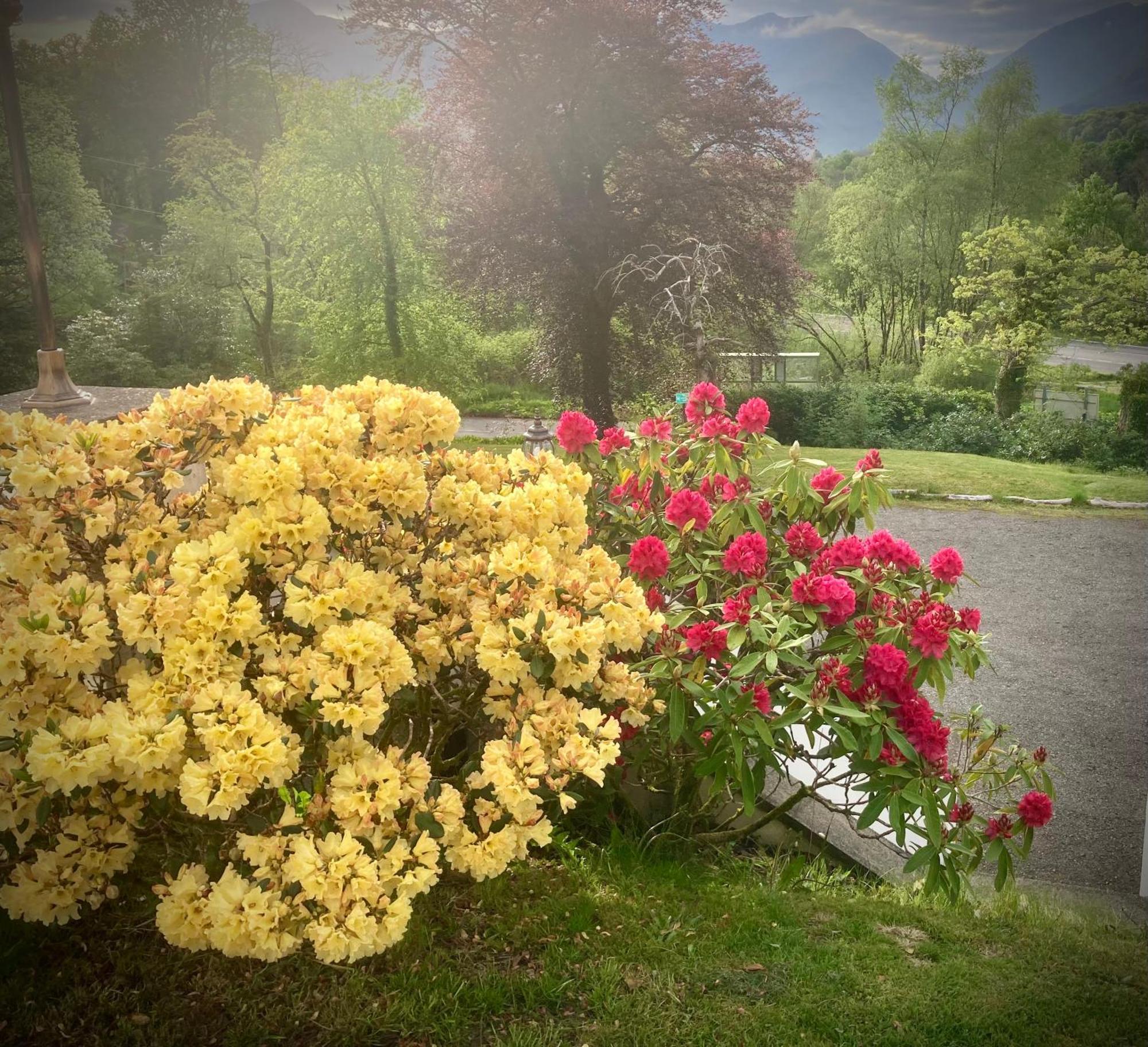 Glenorchy Lodge-rooms Only Hotel *